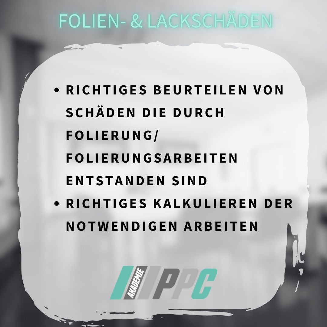 Folien- & Lackschäden