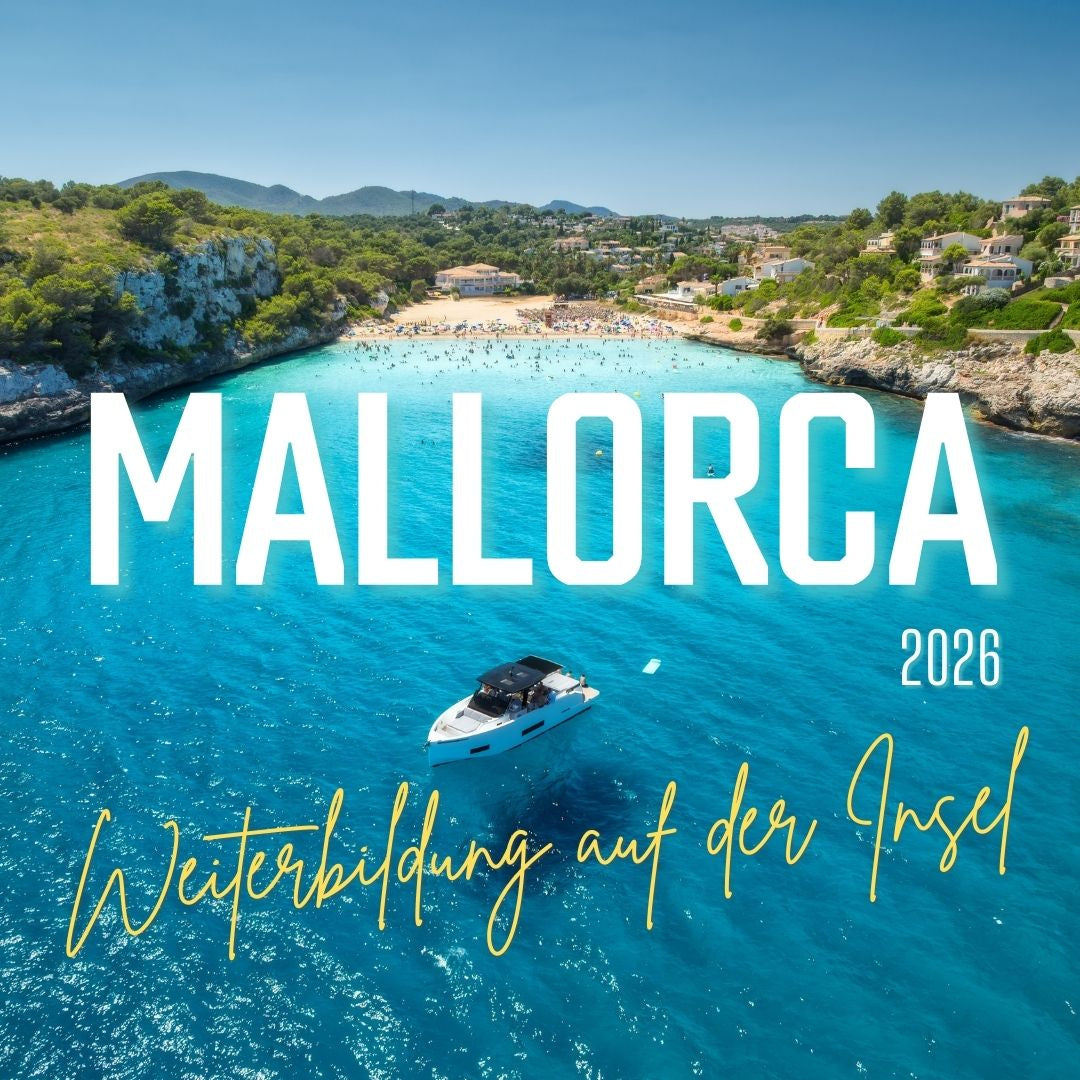 Produktbild für die Fortbildung von KFZ Sachverständigen auf Mallorca.